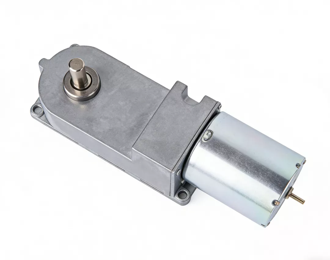 29Z370 DC Worm Gear Motor High Torque Low Speed for Automation Equipment WYOO Transmission