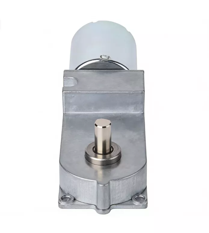 29Z370 DC Worm Gear Motor High Torque Low Speed for Automation Equipment WYOO Transmission