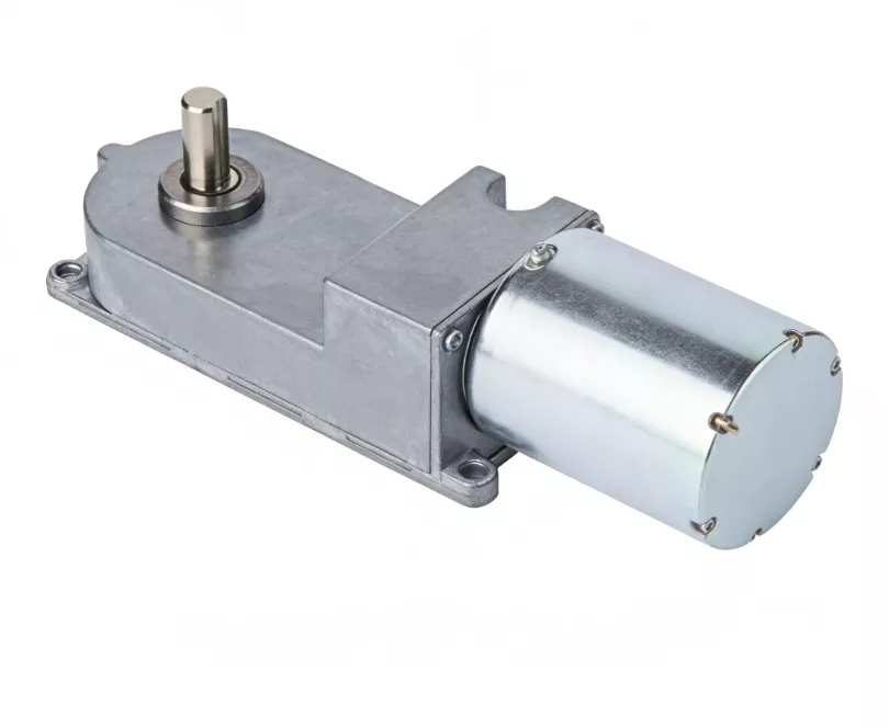 29Z370 DC Worm Gear Motor High Torque Low Speed for Automation Equipment WYOO Transmission