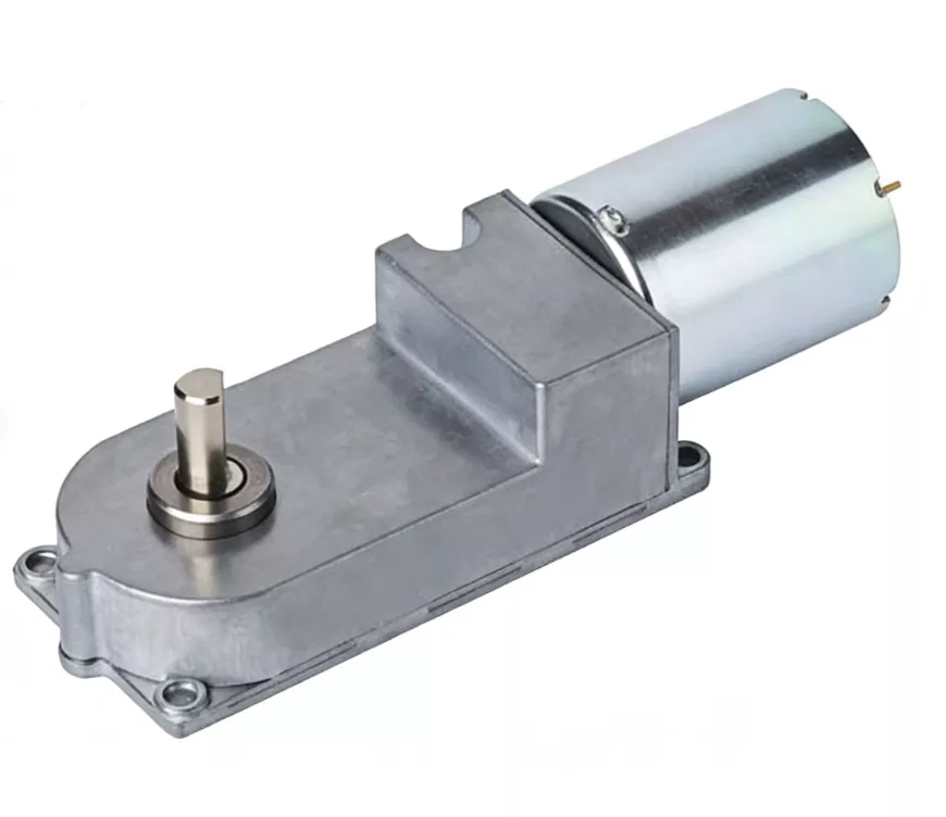 29Z370 DC Worm Gear Motor High Torque Low Speed for Automation Equipment WYOO Transmission