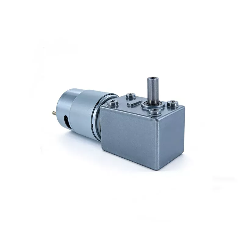 46mm 12V 24V DC Worm Gear Motor 4632Z-385 High Torque Low Speed for Automation Equipment