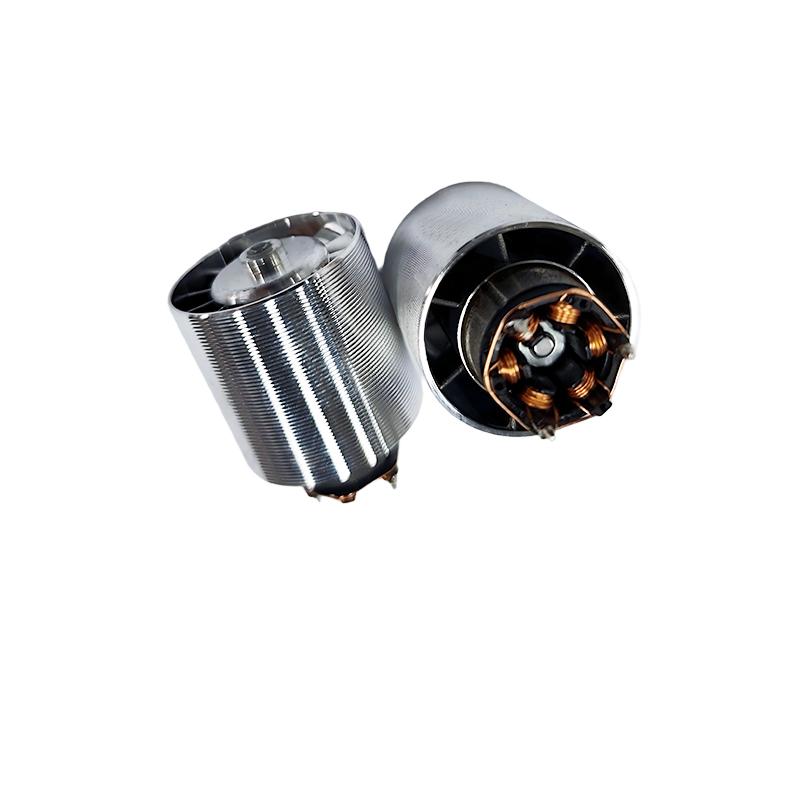 2829-09 High-Torque Precision DC Motor